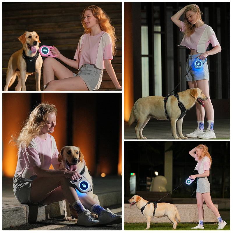 New LED Light Dog Leash Automatic Retractable Leash Outdoor Cool